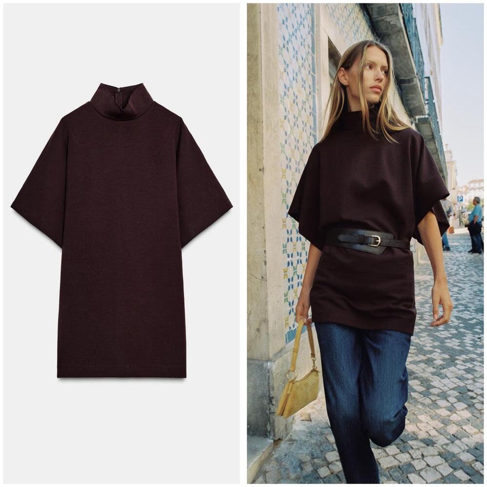 Zara Brown Mock Neck Short-Sleeve Top/Dress Size Medium Tunic Minimalist